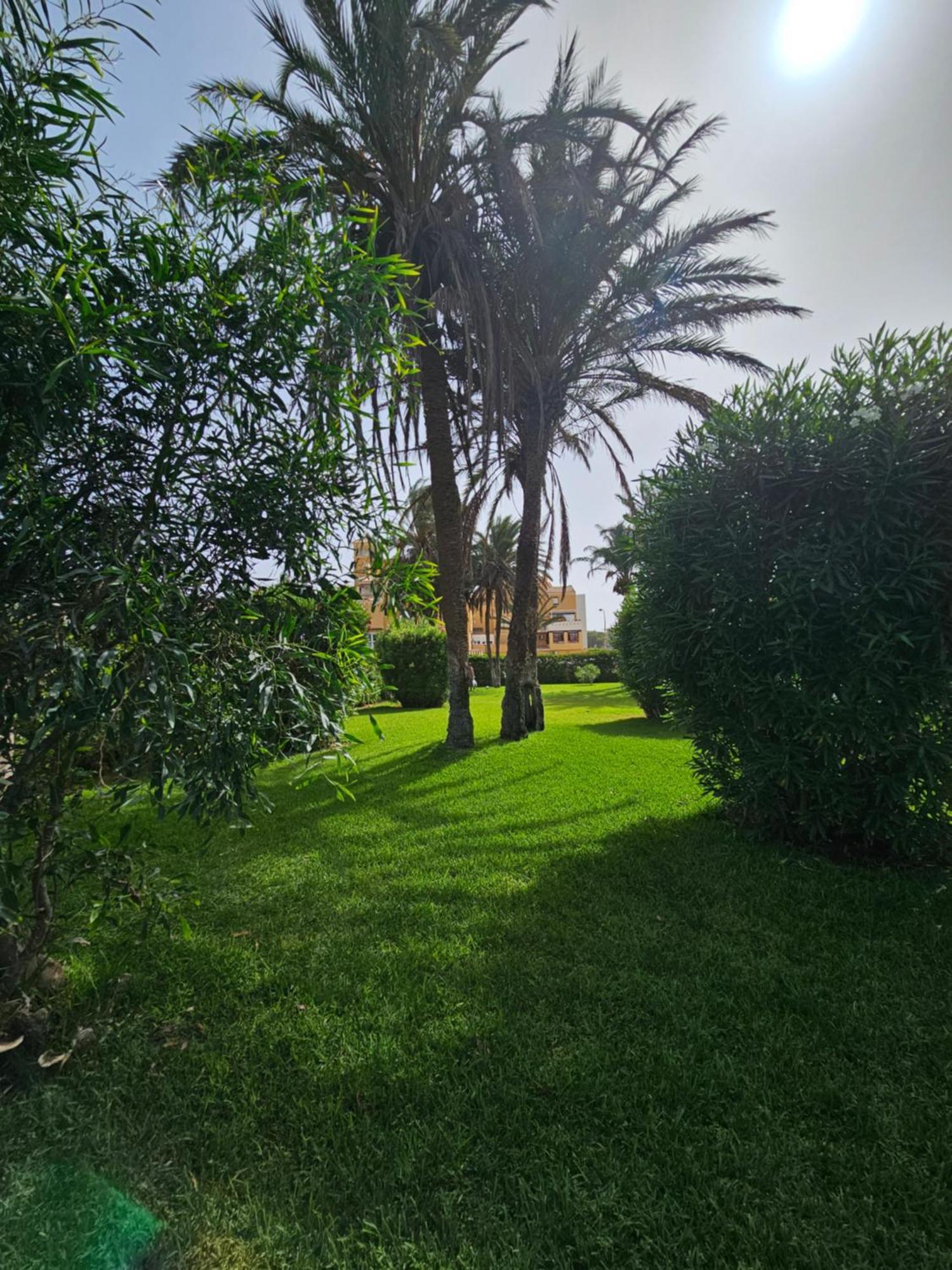 Apartamento Buganvilla Beach Roquetas de Mar Exteriör bild